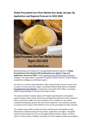 Global Precooked Corn Flour Market Research Report 2022-2028