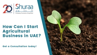 How Can I Start Agricultural Business in UAE