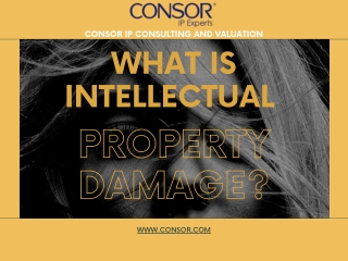 Intellectual Property Damage | CONSOR IP
