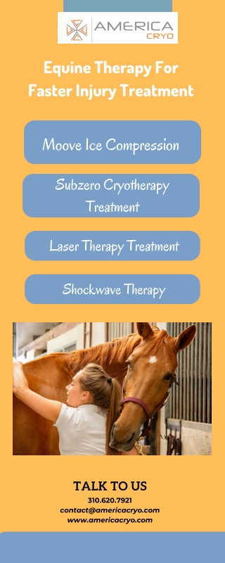 Equine Therapy Treatment- AmericaCryo