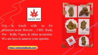 The UK's Largest CBD Flower & Bud Store – Swiss CBD - swisscbdbuds