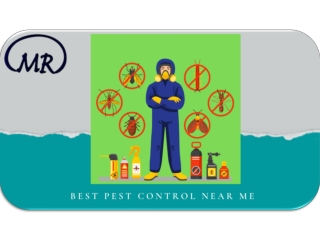 Best pest control near me
