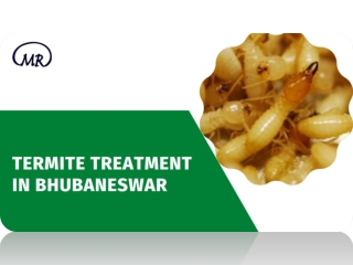 Termite treatment in Bhubaneswar