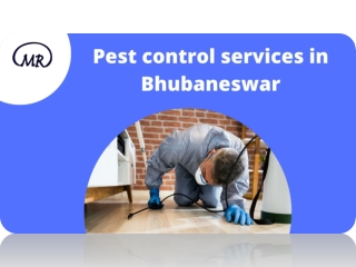 Pest control services in Bhubaneswar