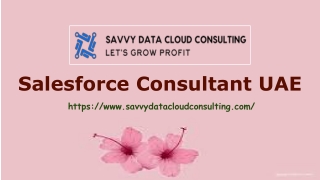 Salesforce Consultant UAE