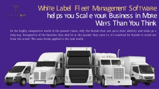 White Label Fleet Management Software helps you Scale your Business in More Ways Than You Think