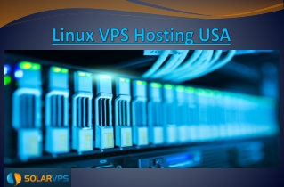 Linux VPS Hosting USA