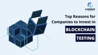 Top Reasons for Companies to Invest in Blockchain Testing