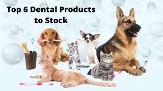 Top 6 Dental Products to Stock