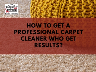 How to Get a Professional Carpet Cleaner Who Get Results