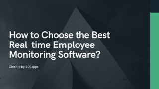 Real-time Employee Monitoring Software