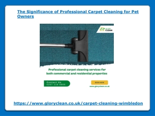 The Significance of Professional Carpet Cleaning for Pet Owners