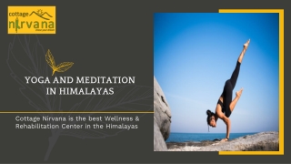 They provide the best yoga and meditation in Himalayas