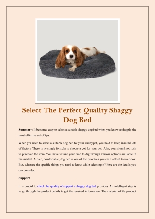 Select The Perfect Quality Shaggy Dog Bed