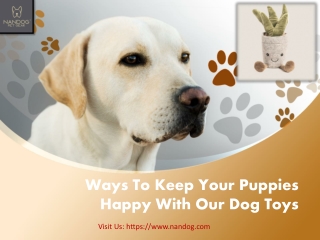 Ways To Keep Your Puppies Happy With Our Dog Toys