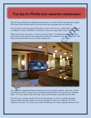 Top tips for Florida keys aquarium maintenance