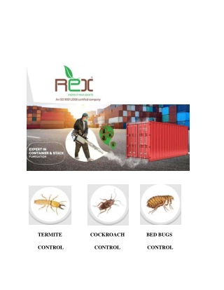 rex pest control