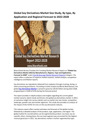Global Soy Derivatives Market Research Report 2022-2028