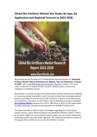 Global Bio fertilizers Market Research Report 2022-2028
