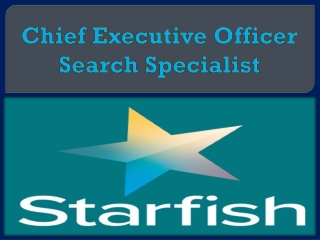 Chief Executive Officer Search Specialist