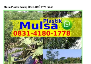 Mulsa Plastik Bening Ö8З1~Կ18Ö~1ᜪᜪ8[WhatsApp]
