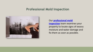 Professional Mold Inspection