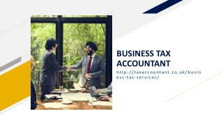 BUSINESS TAX ACCOUNTANT