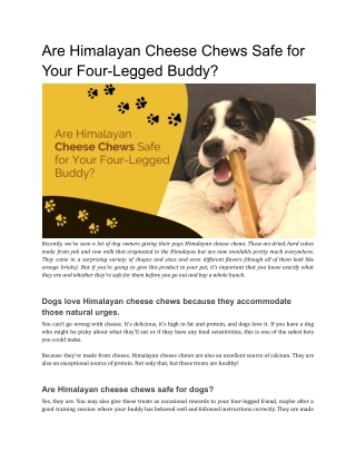 Are Himalayan Cheese Chews Safe for Your Four-Legged Buddy