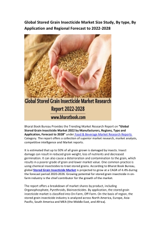 Global Stored Grain Insecticide Market Research Report 2022-2028