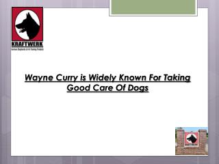 Wayne Curry is Widely Known For Taking Good Care Of Dogs