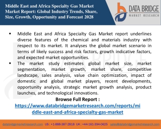 Middle East and Africa Specialty Gas Market