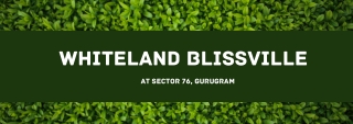 Whiteland Blissville At Sector 76 Gurugram - PDF