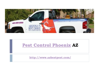 Pest Control Phoenix AZ