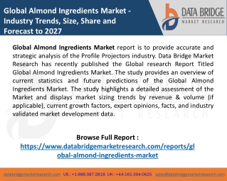 Almond Ingredients Market