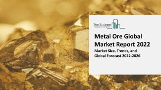 Metal Ore Industry Analysis, Size, Share, Trends, Growth and Forecasts for 2022