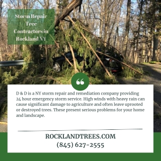 Storm Repair Tree Contractors in Rockland NY