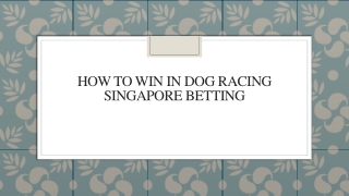 How To Win In Dog Racing Singapore Betting