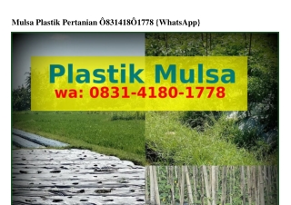 Mulsa Plastik Pertanian O83l•Ꮞl8O•lᜪᜪ8{WA}