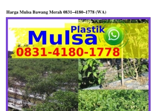 Harga Mulsa Bawang Merah