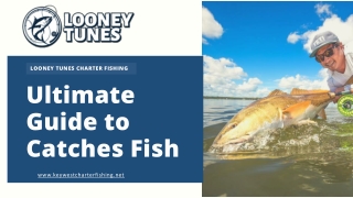 How To Catch Ultimate Guide to Catches Fishes Tips and Gear