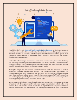Custom WordPress plugin development