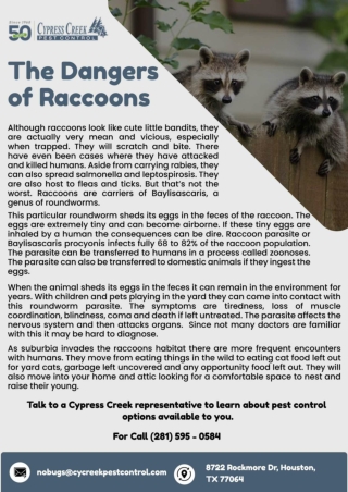 commercial pest control raccoons