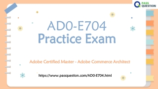 Adobe AD0-E704 Practice Test Questions