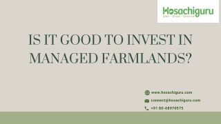 Is it good to invest in Managed Farmlands - Hosachiguru