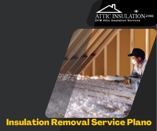 Insulation Removal Service Plano