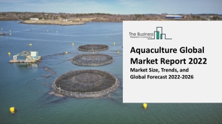 Aquaculture Market Trends and Forecast Report 2022-2031 | By Types, Applications