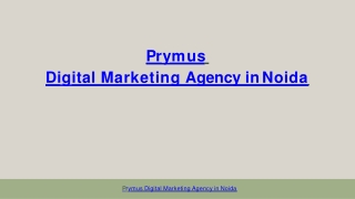 Digital Marketing Agency in Noida