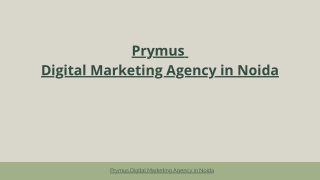 Digital Marketing Agency in Noida