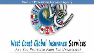 Choose a Professional Insurance Agency
