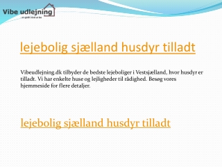 lejebolig sjælland husdyr tilladt  Vibeudlejning.dk